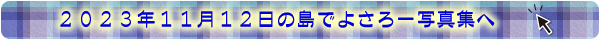 20201105写真集