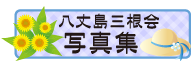 写真集