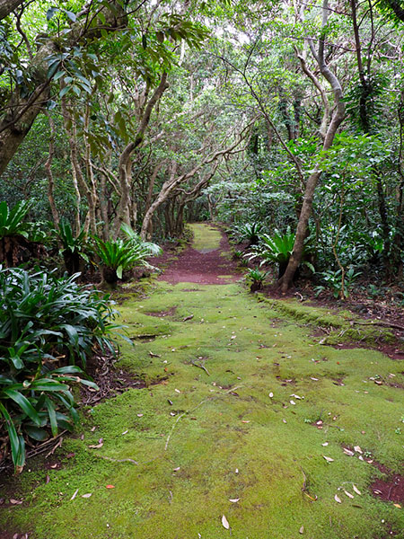 植物公園（夏